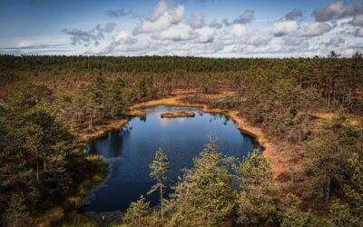 Nature Near the City: 5 Easy Day Trips from Tallinn
